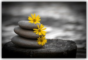 si un jour une pierre te sourit 