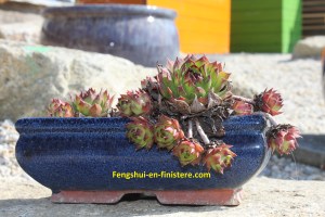 Réalisation fengshui en finistere.com