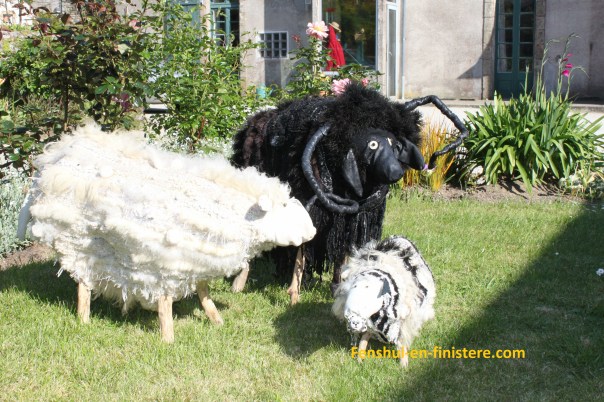 Mouton noir d'Ouessant