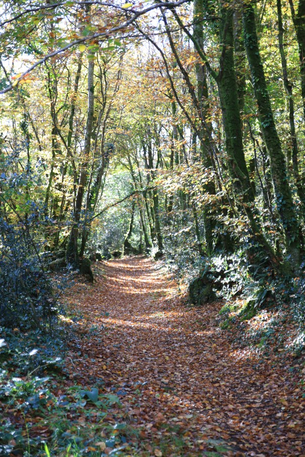 crédit photo : Feng Shui en Finistère